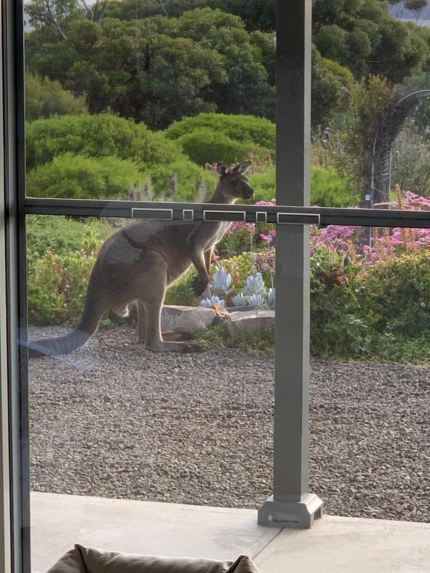 Emu Bay Holiday Homes エクステリア 写真